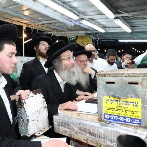 WhatsApp Image 2023-07-12 at 15.58.23