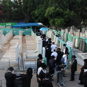 WhatsApp Image 2023-07-12 at 17.23.56