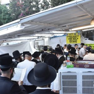 ההמונים בציון